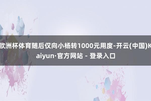 欧洲杯体育随后仅向小杨转1000元用度-开云(中国)Kaiyun·官方网站 - 登录入口