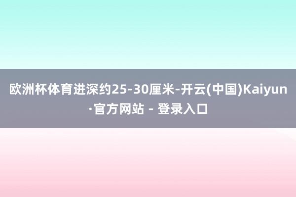 欧洲杯体育进深约25-30厘米-开云(中国)Kaiyun·官方网站 - 登录入口