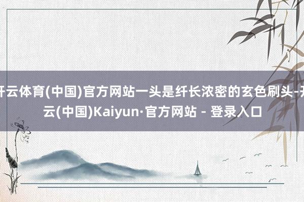 开云体育(中国)官方网站一头是纤长浓密的玄色刷头-开云(中国)Kaiyun·官方网站 - 登录入口