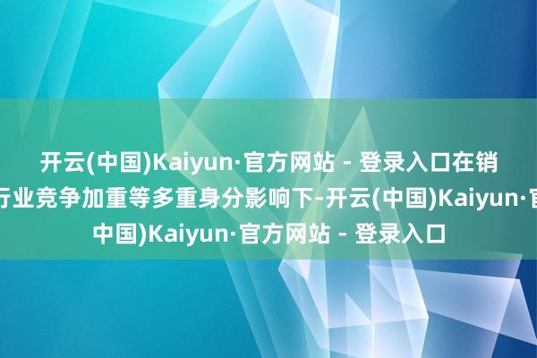 开云(中国)Kaiyun·官方网站 - 登录入口在销耗阛阓需求放缓与行业竞争加重等多重身分影响下-开云(中国)Kaiyun·官方网站 - 登录入口